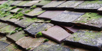 Edgehill roof repair costs
